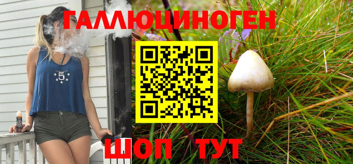 Орехово-Зуево  Псилоцибиновые грибы MAGIC MUSHROOMS  Вход с VPN 